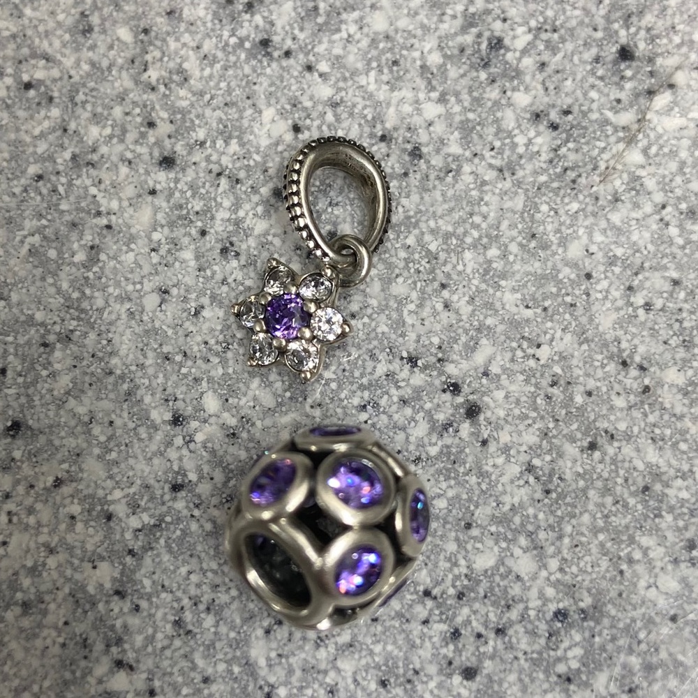 Pandora Charms